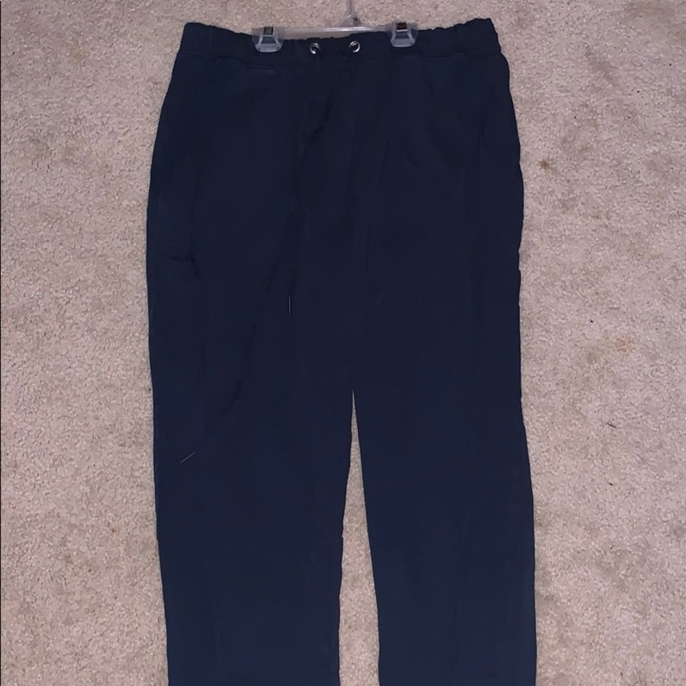 Anthropology Navy Joggers